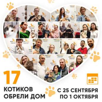 Итоги работы Центра с 25 сентября по 1 октября 2023г. 