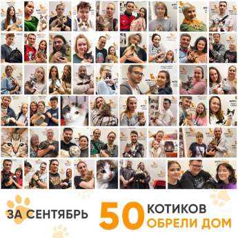 Итоги работы Центра в сентябре 2023 года.