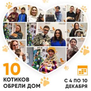 Итоги работы Центра с 4 по 10 декабря 2023г. 
