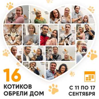 Итоги работы Центра с 11 по 17 сентября 2023г.