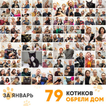 Итоги работы Adoption центра в январе 2023 года. 