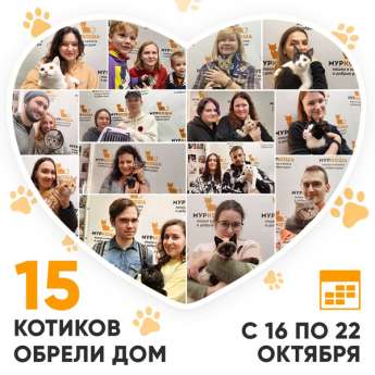 Итоги работы Центра со 16 по 22 октября 2023г.