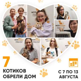 Итоги работы Adoption центра с 7 по 13 августа 2023г. 