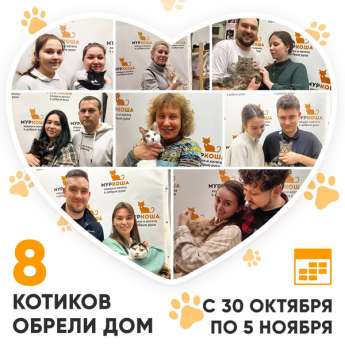 Итоги работы Центра с 30 октября по 5 ноября 2023г.