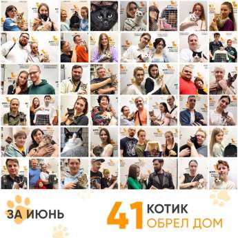 Итоги работы Adoption центра в июне 2023 года.