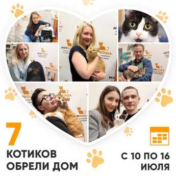 Итоги работы Adoption центра с 10 по 16 июля 2023г.