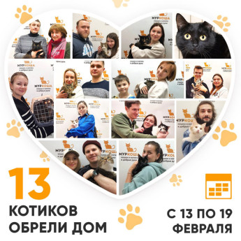 Итоги работы Adoption центра с 13 по 19 февраля 2023г.