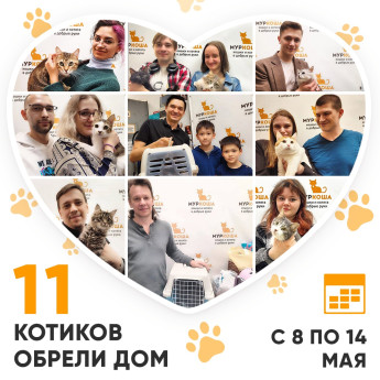Итоги работы Adoption центра с 8 по 14 мая 2023г.