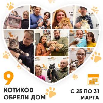 Итоги работы Центра с 25 по 31 марта 2024г.