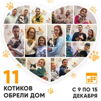 Итоги работы Центра с 9 по 15 декабря 2024г.