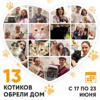 Итоги работы Центра с 17 по 23 июня 2024г.