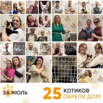 Итоги работы Центра в июле 2024 года.