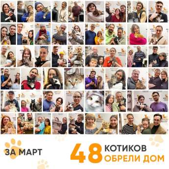 Итоги работы Центра в марте 2024 года. 