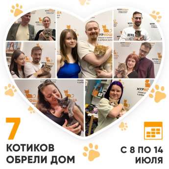 Итоги работы Центра с 8 по 14 июля 2024г. 