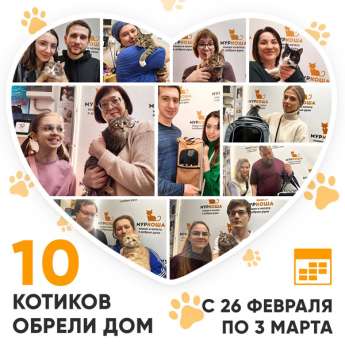 Итоги работы Центра с 26 февраля по 3 марта 2024г.