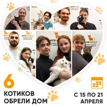 Итоги работы Центра с 15 по 21 апреля 2024г.