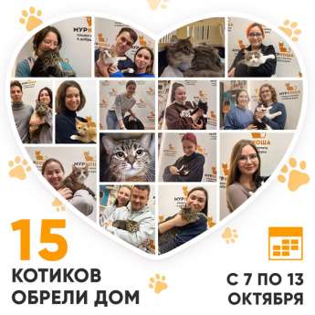 Итоги работы Центра с 7 по 13 октября 2024г. 