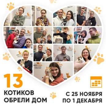 Итоги работы Центра с 25 ноября по 1 декабря 2024г.