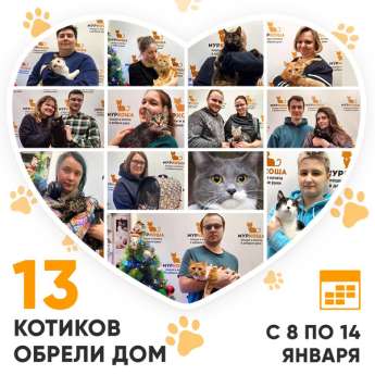 Итоги работы Центра с 8 по 14 января 2024г.