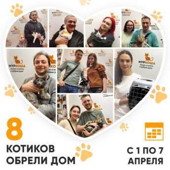 Итоги работы Центра с 1 по 7 апреля 2024г. 