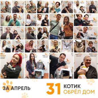 Итоги работы Центра в апреле 2024 года. 