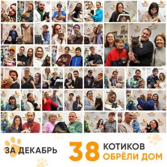 Итоги работы Центра в декабре 2023 года.