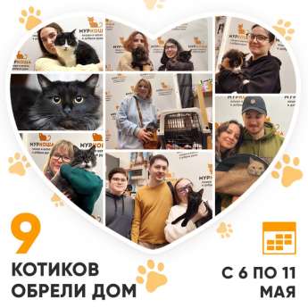 Итоги работы Центра с 6 по 11 мая 2024г.