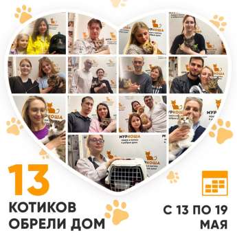 Итоги работы Центра с 13 по 19 мая 2024г.