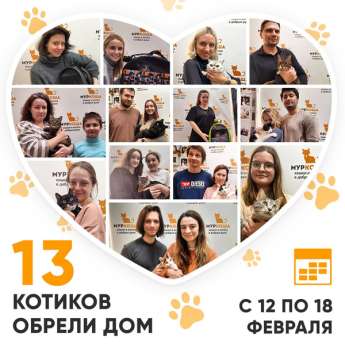 Итоги работы Центра с 12 по 18 февраля 2024г. 