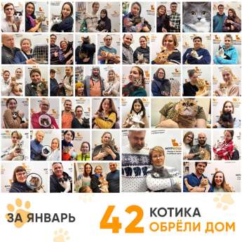 Итоги работы Центра в январе 2024 года.