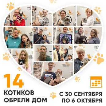 Итоги работы Центра с 30 сентября по 6 октября 2024г.