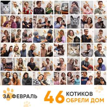 Итоги работы Центра в феврале 2024 года.