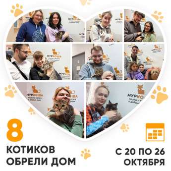 Итоги работы Центра с 20 по 26 октября 2025г.