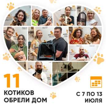 Итоги работы Центра с 7 по 13 июля 2025г.