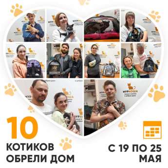 Итоги работы Центра с 19 по 25 мая 2025г.