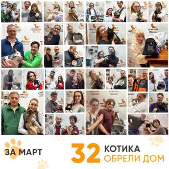 Итоги работы Центра в марте 2025 года.