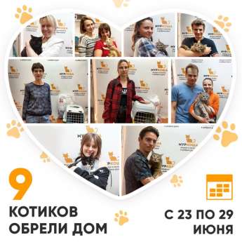 Итоги работы Центра с 23 по 29 июня 2025г.