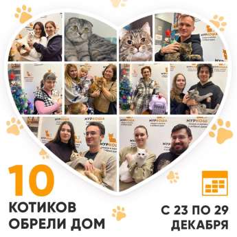 Итоги работы Центра с 23 по 29 декабря 2024г.