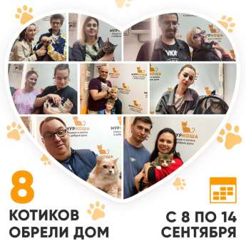 Итоги работы Центра с 8 по 14 сентября 2025г. 