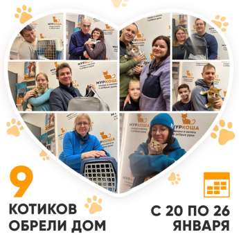 Итоги работы Центра с 20 по 26 января 2025г. 