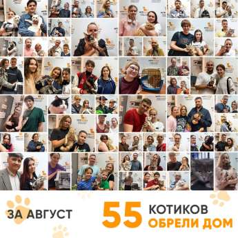 Итоги работы Центра в августе 2025 года.