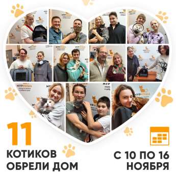Итоги работы Центра с 10 по 16 ноября 2025г. 