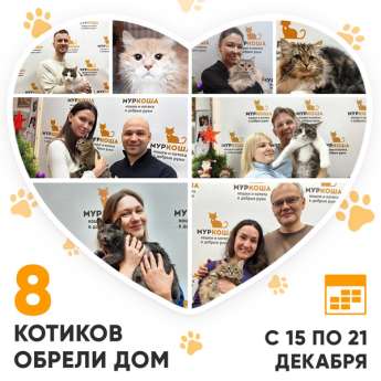 Итоги работы Центра с 15 по 21 декабря 2025г.