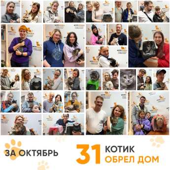 Итоги работы нашего Центра в октябре 2025 года.