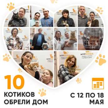 Итоги работы Центра с 12 по 18 мая 2025г.