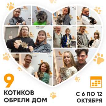 Итоги работы Центра с 6 по 12 октября 2025г.