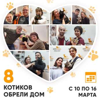 Итоги работы Центра с 10 по 16 марта 2025г. 