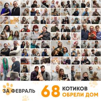 Итоги работы Adoption центра в феврале 2022г.