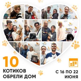 Итоги работы Центра с 16 по 22 июня 2025г.
