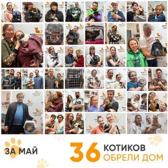 Итоги работы Центра в мае 2025 года. 